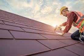 Best Roof Maintenance and Cleaning  in Eustace, TX